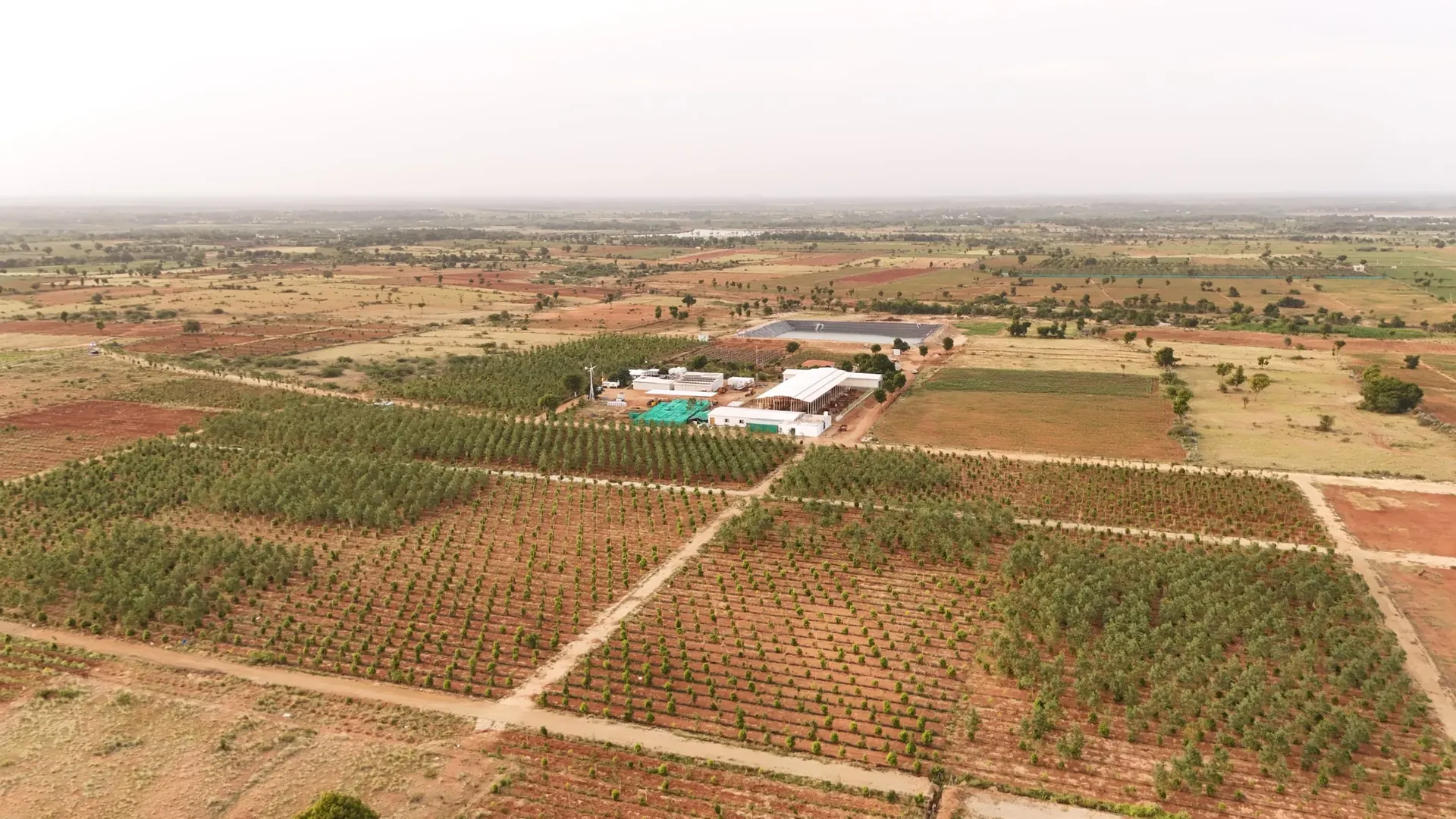 Aerial view of the GreenX farm campus near Lepakshi