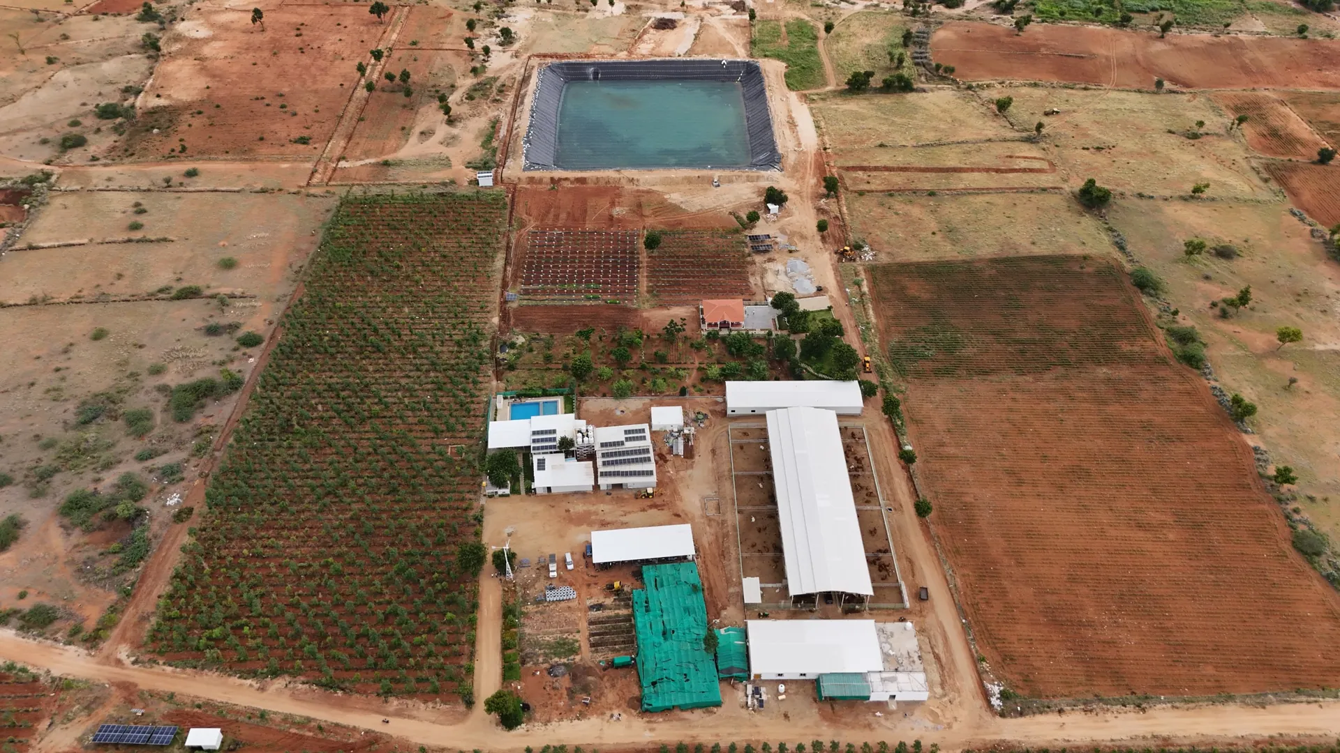Top-down aerial view of a SmartAgro-managed farm: plantation, dairy, farm pond and solar