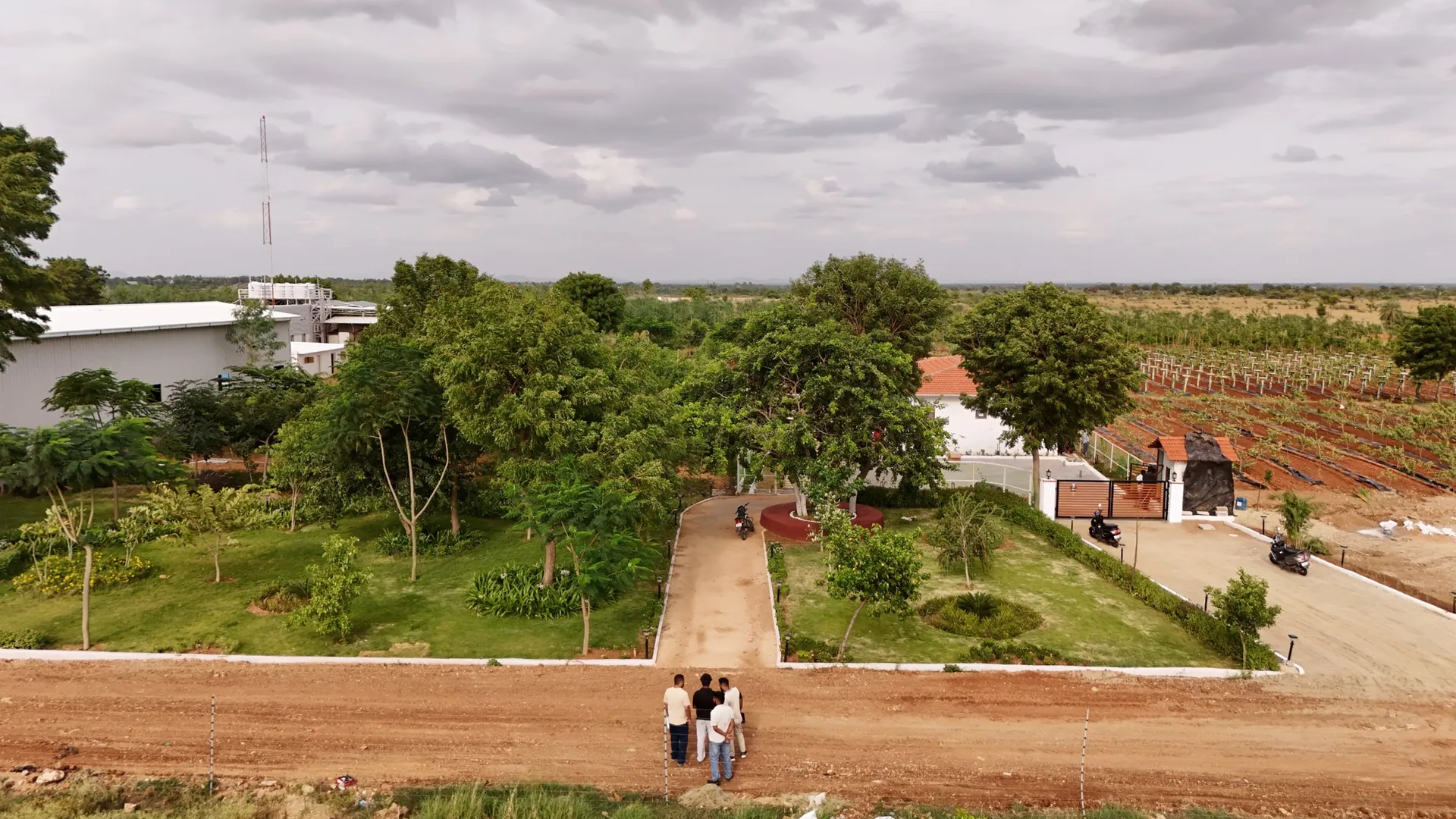 Sandalwood plantation looked after by the SmartAgro team