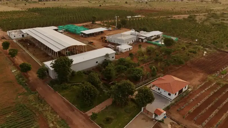 Aerial view of the GreenX farm campus and managed plots